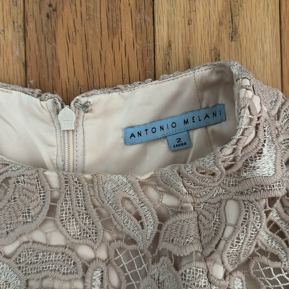 Antonio Melani | Beige Lace Dress | Cap Sleeve | size 2 | Lined - Picture 3 of 7